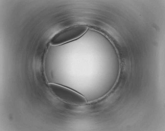 X0000115730969200911251934