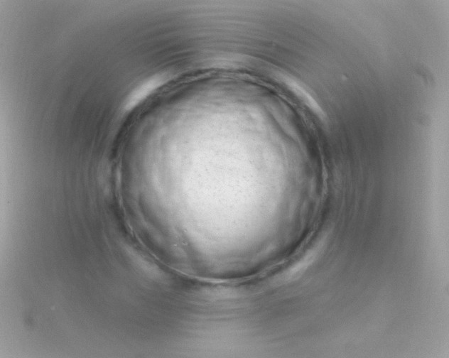 X0000115730970200911251934