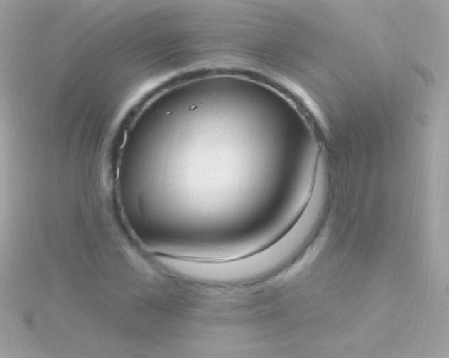 X0000115730973200911251934