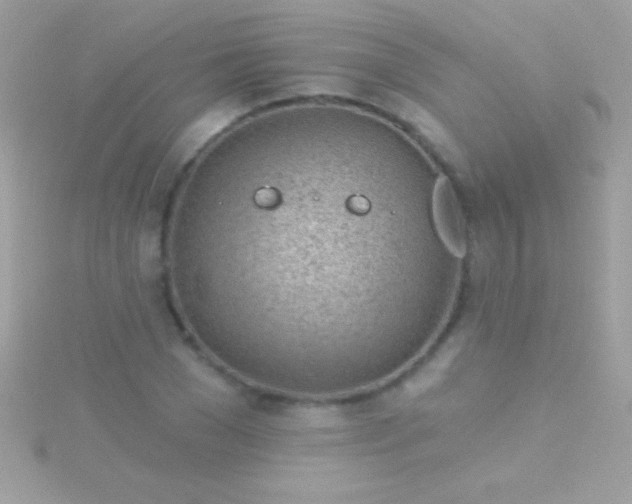 X0000115730977200911251934