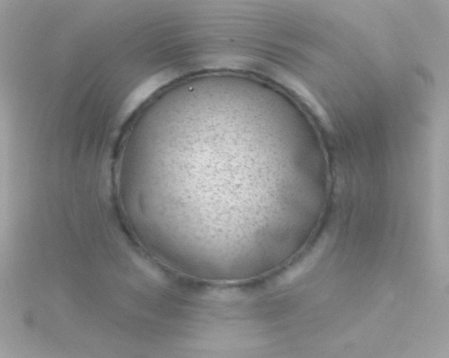 X0000115730978200911251934