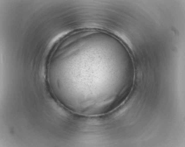 X0000115730979200911251934