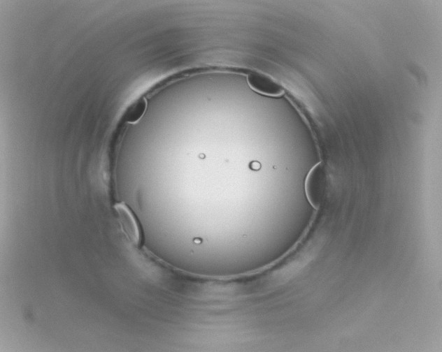 X0000115730981200911251934