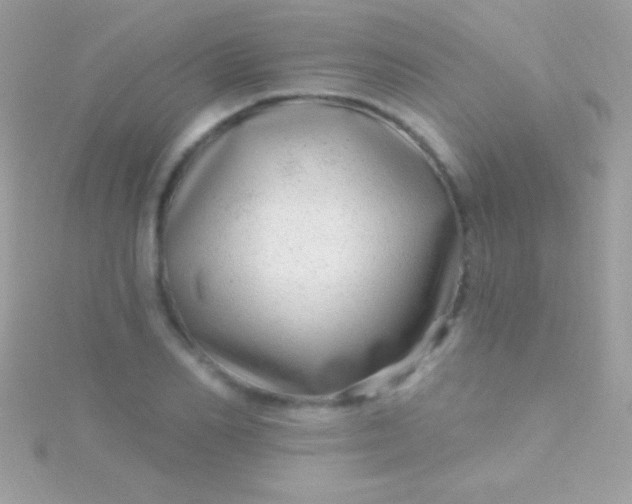 X0000115730982200911251934