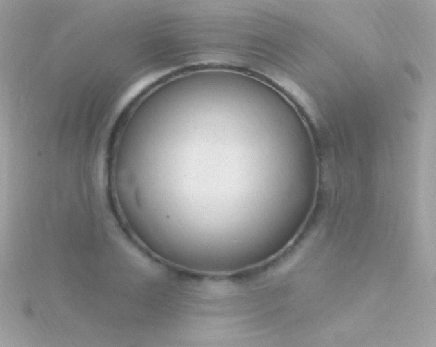 X0000115730983200911251934