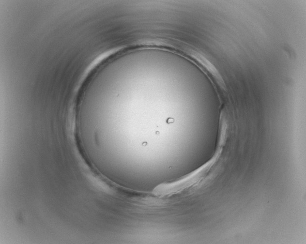 X0000115730984200911251934