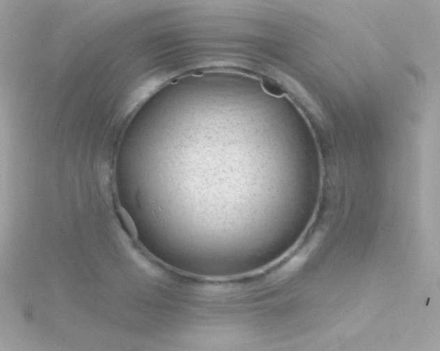 X0000115730985200911251934