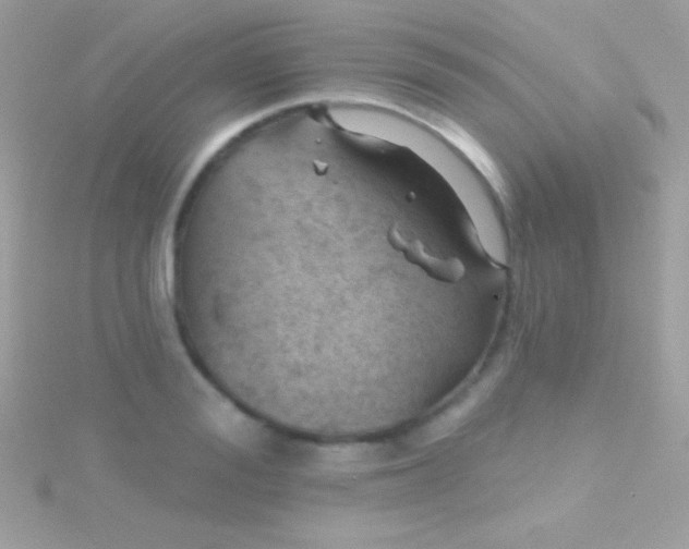 X0000115730988200911251934