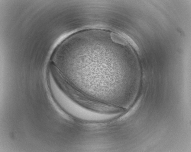 X0000115730989200911251934