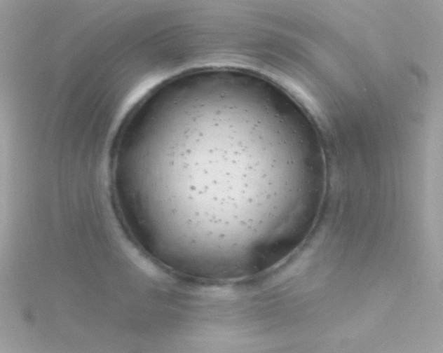 X0000115730990200911251934