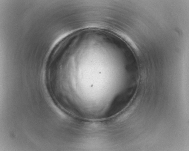 X0000115730991200911251934