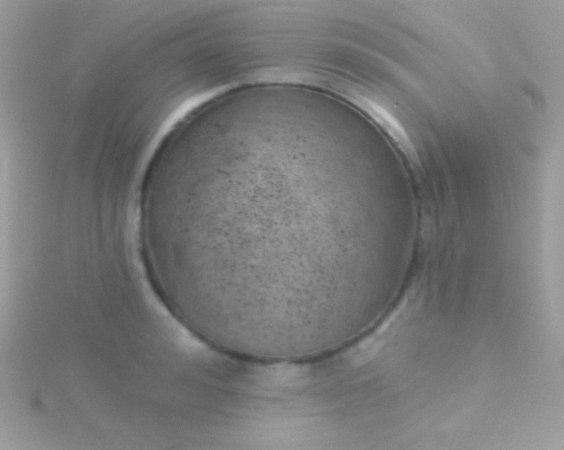 X0000115730992200911251934