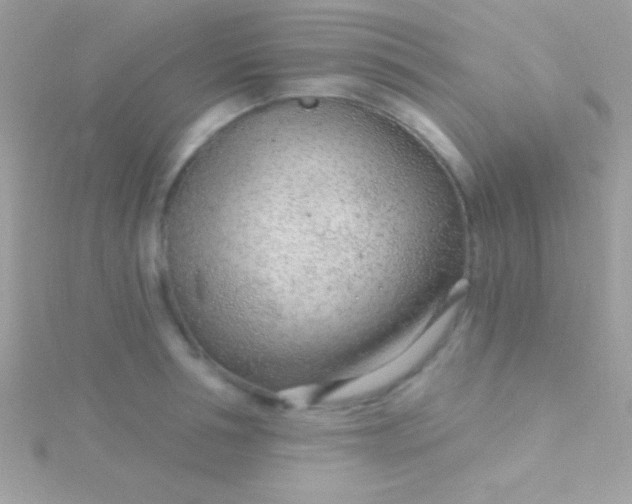 X0000115730994200911251934