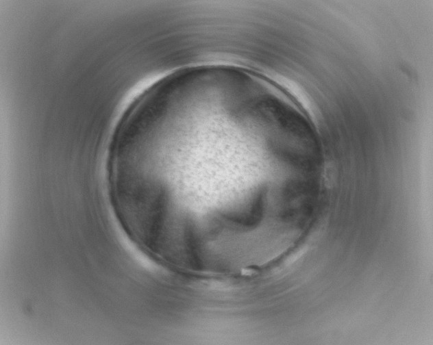 X0000115730995200911251934