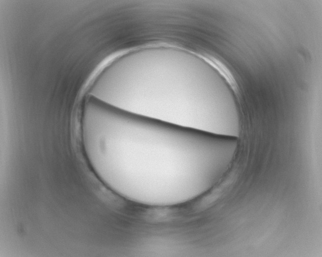 X0000115731000200911251934