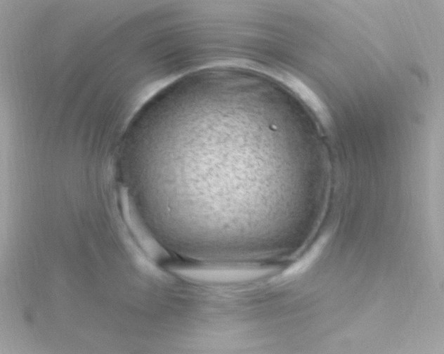 X0000115731001200911251934