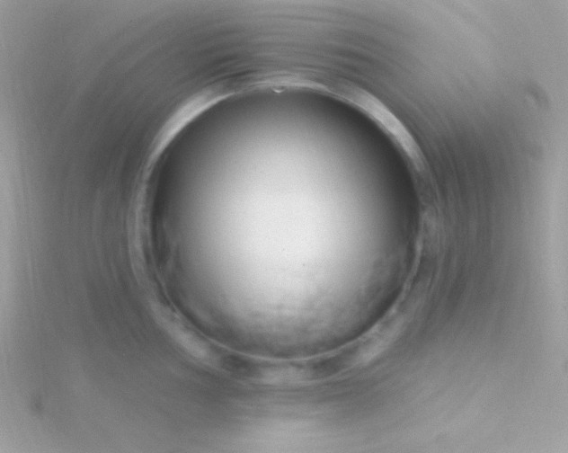 X0000115731002200911251934