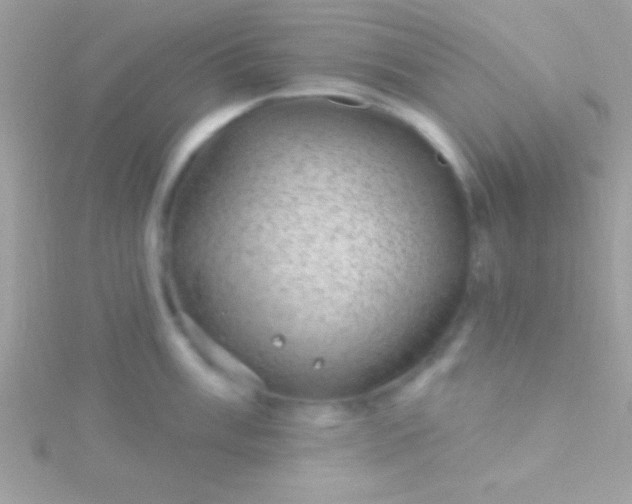 X0000115731003200911251934