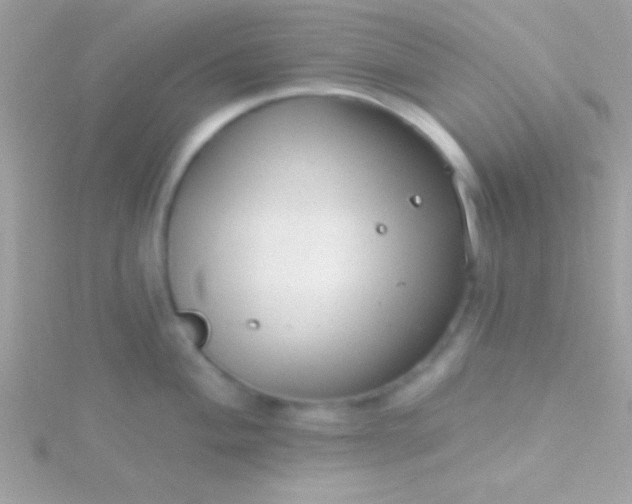 X0000115731004200911251934