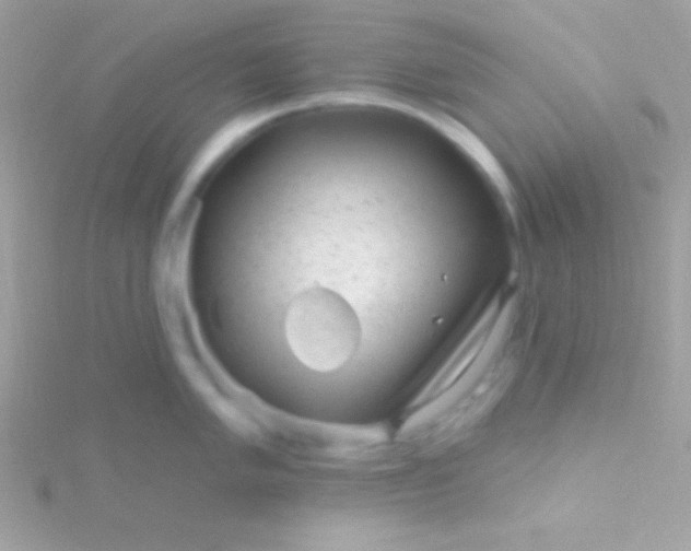 X0000115731005200911251934