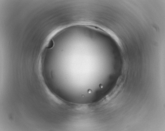 X0000115731006200911251934