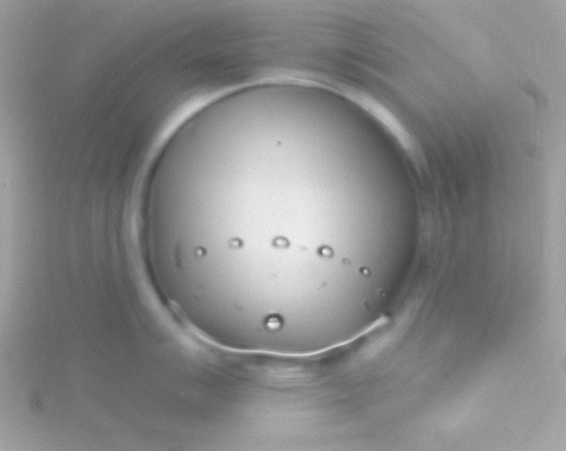 X0000115731007200911251934