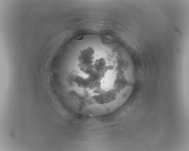 X0000115731009200911251933