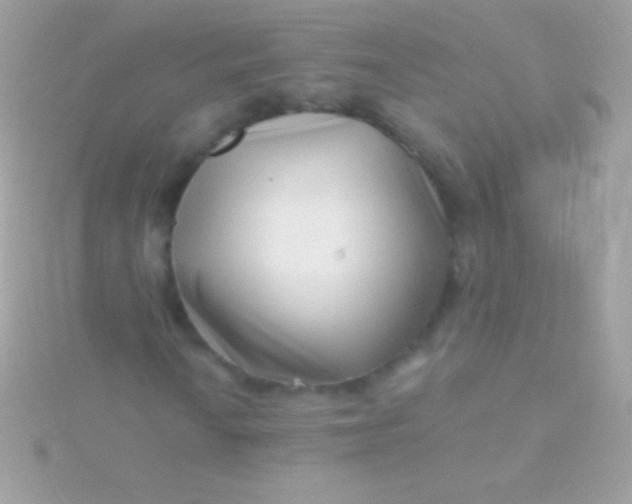 X0000115731010200911251933