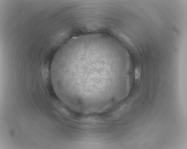 X0000115731011200911251933