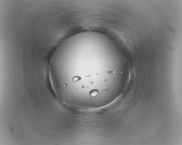 X0000115731012200911251933