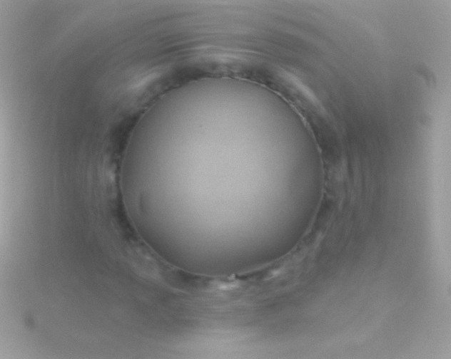 X0000115731013200911251933