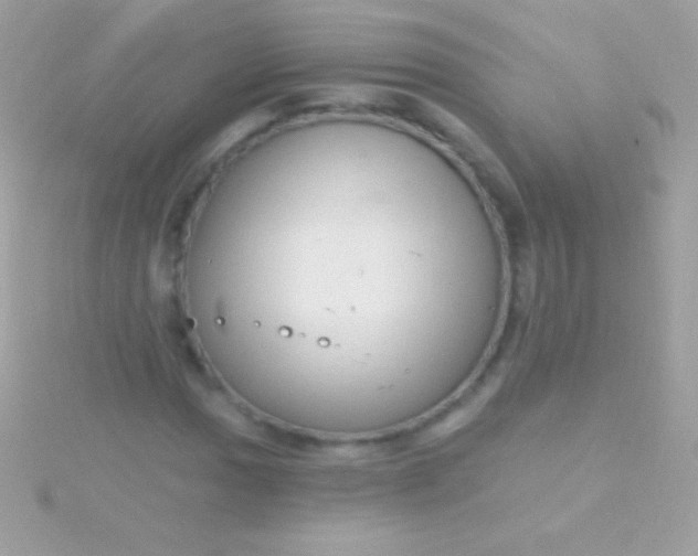 X0000115731017200911251933