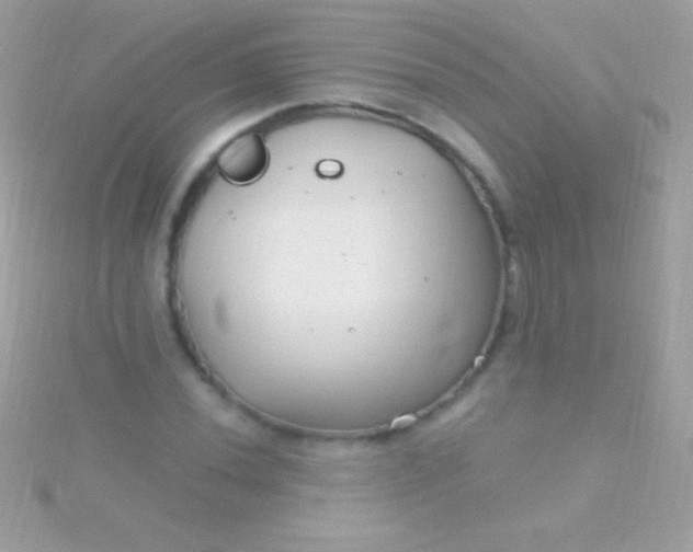 X0000115731020200911251934