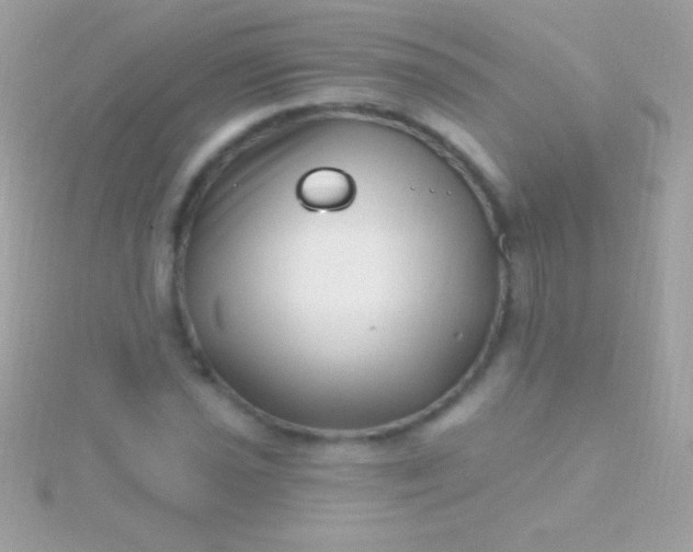 X0000115731021200911251934