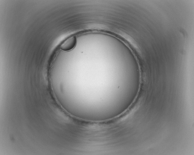 X0000115731022200911251934