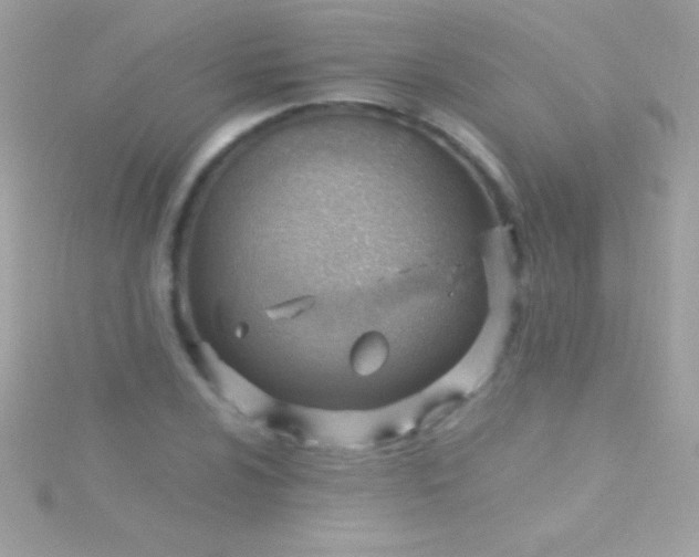 X0000115731024200911251934