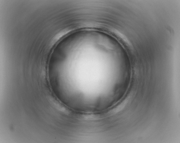 X0000115731025200911251934