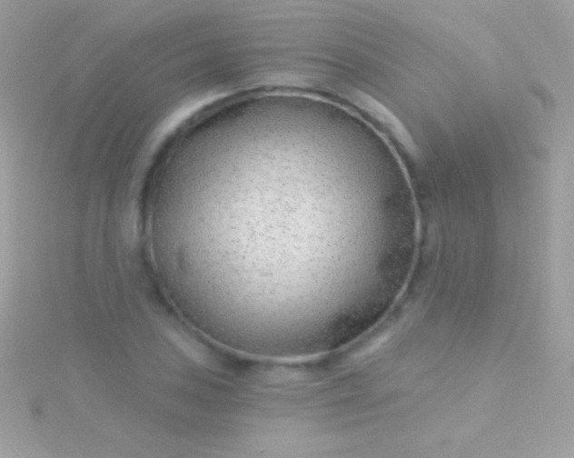 X0000115731027200911251934