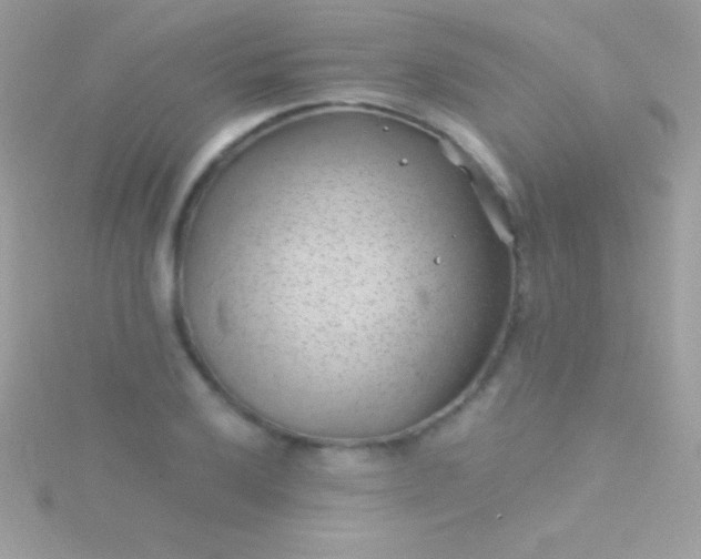 X0000115731032200911251934