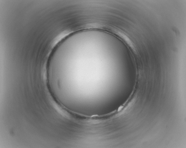 X0000115731034200911251934