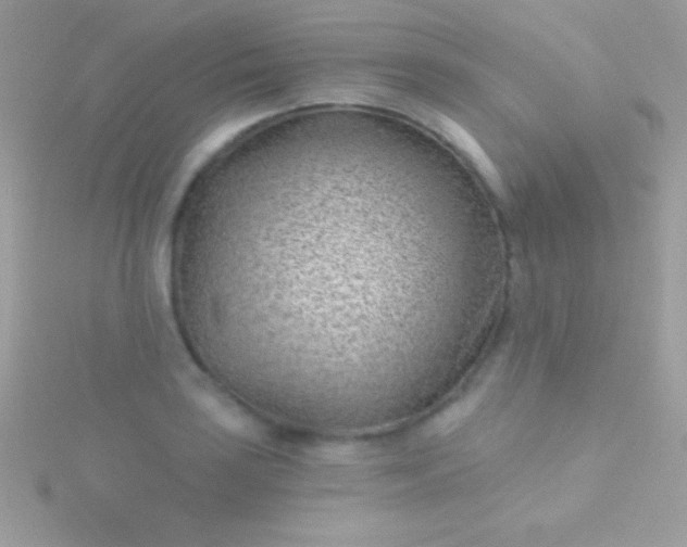 X0000115731035200911251934