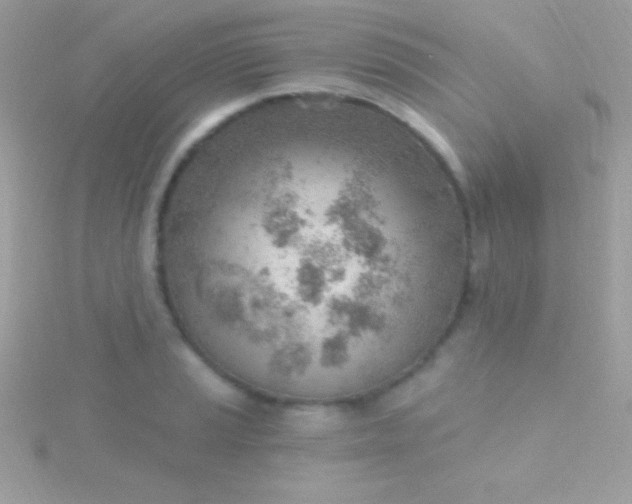 X0000115731037200911251934