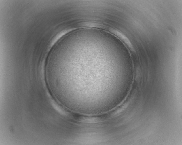 X0000115731039200911251934