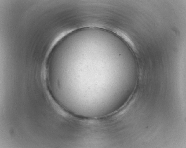 X0000115731040200911251934