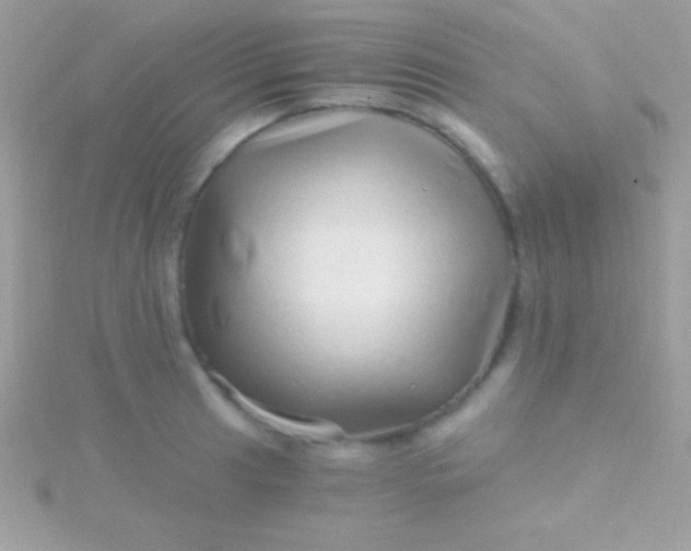 X0000115731041200911251934