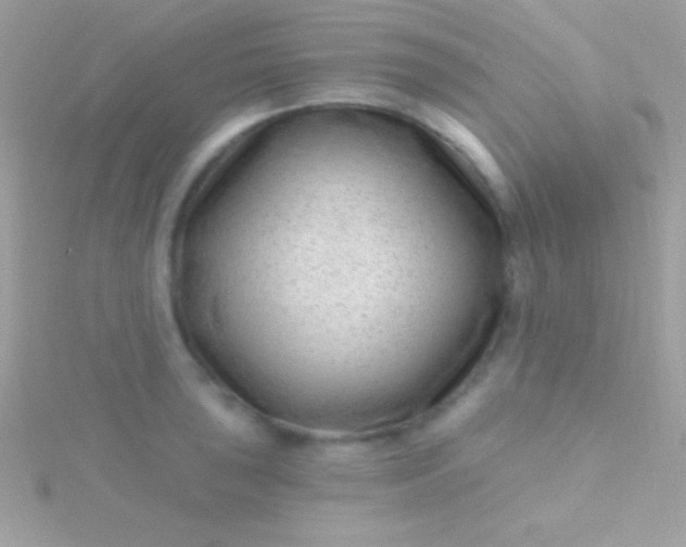 X0000115731043200911251934