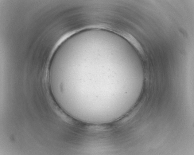 X0000115731044200911251934