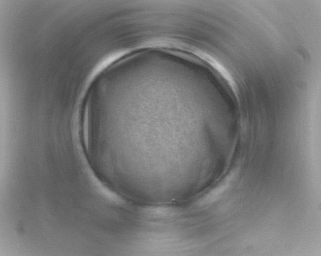 X0000115731045200911251934