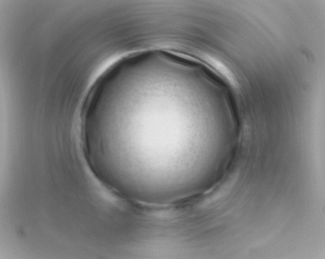 X0000115731047200911251934