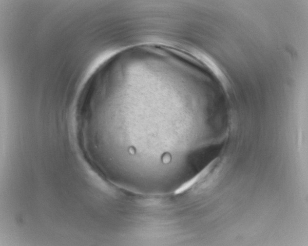 X0000115731048200911251934